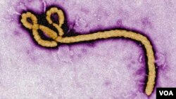 Cutar Ebola