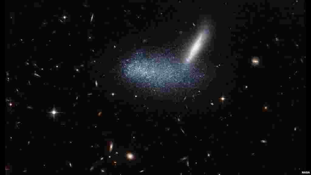 Hình ảnh chụp từ kính viễn vọng Hubble cho thấy thiên hà lùn bất thường có tên PGC 16.389 (trông như đám mây sao) che khuất thiên hà kế cận APMBGC 252 125-117 (dải sáng bên cạnh). (Ảnh: ESA/Hubble và NASA)