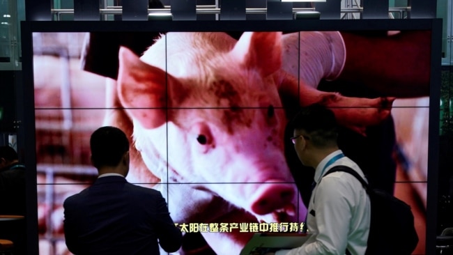 在上海国际进口博览会上展示的进口猪肉广告。(2019年11月6日)