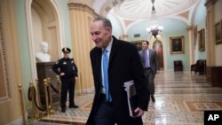 Lidè Minorite Demokrat la nan Sena a, Chuck Schumer (D-N.Y.)