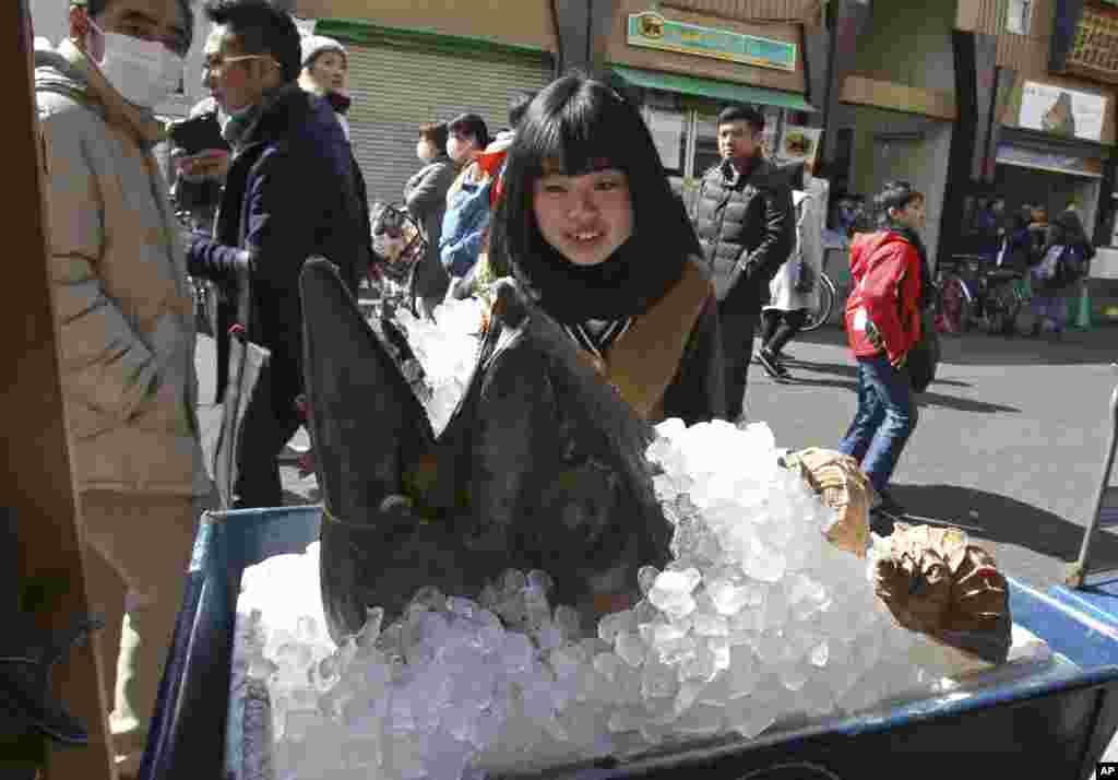 A woman looks at head of a bluefin tuna on display in front of a store at Tsukiji fish market in Tokyo, Japan. The large bluefin are particularly valuable in Japan, where they are considered a premium sushi and sashimi fish. A single fish sold for more than $1.75 million at an auction in Japan in 2013.