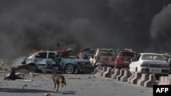 Seekor anjing berlarian di lokasi serangan bom di Kabul, 31 Mei 2017. (Foto: dok). 