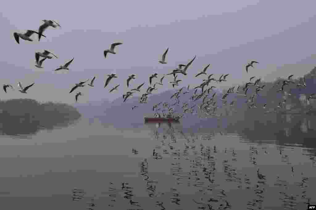 Migratory birds fly over a boat on the Yamuna River amidst heavy smog conditions in New Delhi, India.