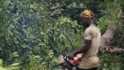 Minute Eco: Exploitation illicite des ressources naturelles de la RDC