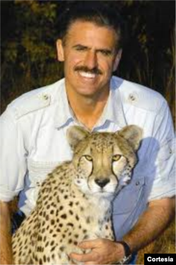 Ron Magill, experto en vida silvestre y portavoz del zoológico de Miami