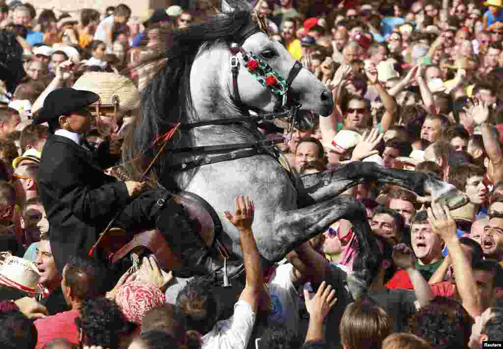 A rider rears up on his horse while surrounded by a cheering crowd during the traditional Fiesta of San Joan (Saint John) in downtown Ciutadella, on the Spanish Balearic Island of Menorca, June 23, 2014. The riders of the horses are representatives of ancient Ciutadella society - nobility, clergy, craftsmen and farmers.