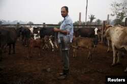 Edivaldo Fernandes Oliveira stands next to his cows before milking them in the village of Rio Pardo next to Bom Futuro National Forest, in the district of Porto Velho, Rondonia State, Brazil, Sept. 1, 2015.