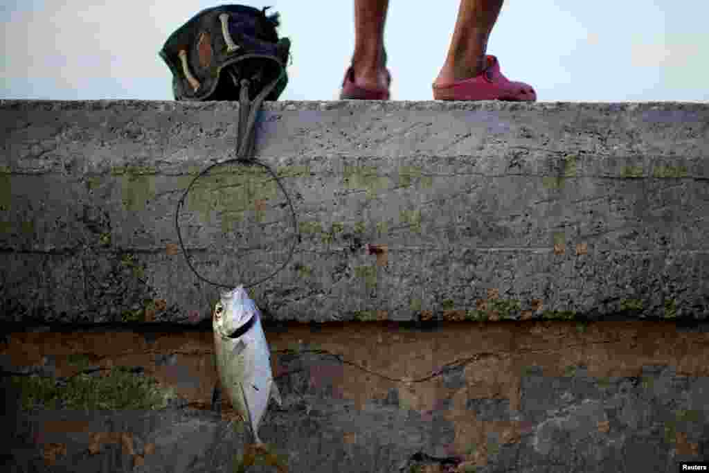 A fish hangs on a wire at the seafront in Havana, Cuba.