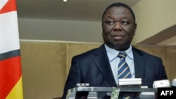 Prime Minister Morgan Tsvangirai's party is expected to hold its primary elections any time this month