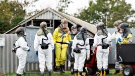 Employees from the Danish Veterinary and Food Administration and the Danish Emergency Management Agency in protective equipment are seen amid the coronavirus disease (COVID-19) outbreak at a mink farm in Gjoel, North Jutland, Denmark October 8, 2020.