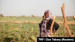 A woman stands in a field of vegetables in R’Kiz, Trarza region, Mauritania, April 1, 2018. 