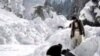 135 People Feared Dead in Pakistani Avalanche