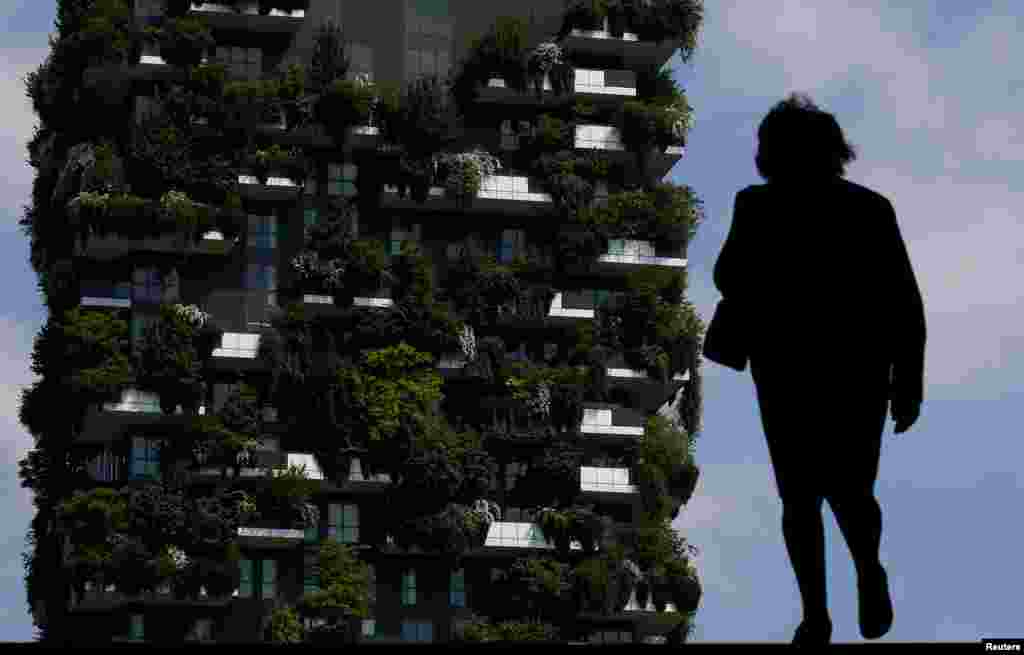 Milan&#39;da ağaçlarla bezenmiş bir apartmanın fotoğrafı çekilmiş.