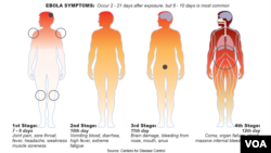 Centers for Disease Control, stages of Ebola virus