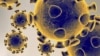 پژوهش جدید: امکان دارد ویروس کرونا سال‌ها در بدن انسان‌ها بوده باشد