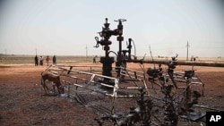 A picture taken on March 3, 2012 shows environmental damage caused by bombs which hit El Nar oil field in Unity State, South Sudan on February 29.