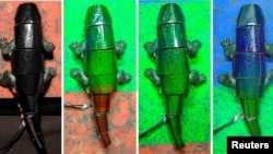 Chameleon robot covered with artificial skin changing its skin colour based on surroundings, from off (far left), green with red (second and third), and blue with green (far right), is seen in Seoul, South Korea, in this handout image obtained by Reuters.