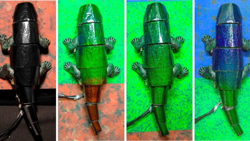 South Korean Researchers Make Animal-Like ‘Skin’