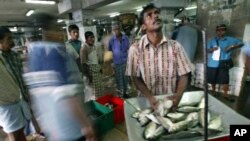 A Sri Lankan fisherman weighs fish for customers at the St. Jones fish market in Colombo, Sri Lanka.