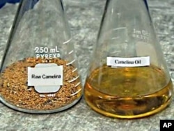 The US Navy is testing a fuel for its fighter jets that is 50 percent petroleum-based and 50 percent derived from a seed called camelina.