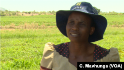 Winnet Kapondoro says irrigation project funded by IFAD has improved her life.