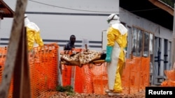 FILE - Health workers carry a newly admitted confirmed Ebola patient into a treatment centre in Butembo in the eastern Democratic Republic of Congo, March 28, 2019.