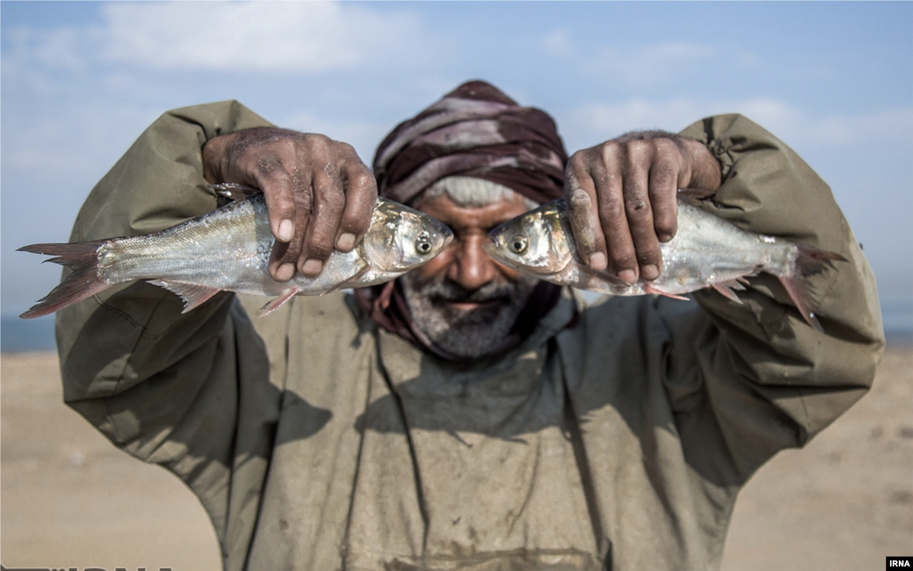 ماهیگیری در نیمه چاله&zwnj;های طبیعی بزرگی که در ۳۵ کیلومتری زابل در شهرستان زهک قرار گرفته است. عکس: عطا رنجبر 