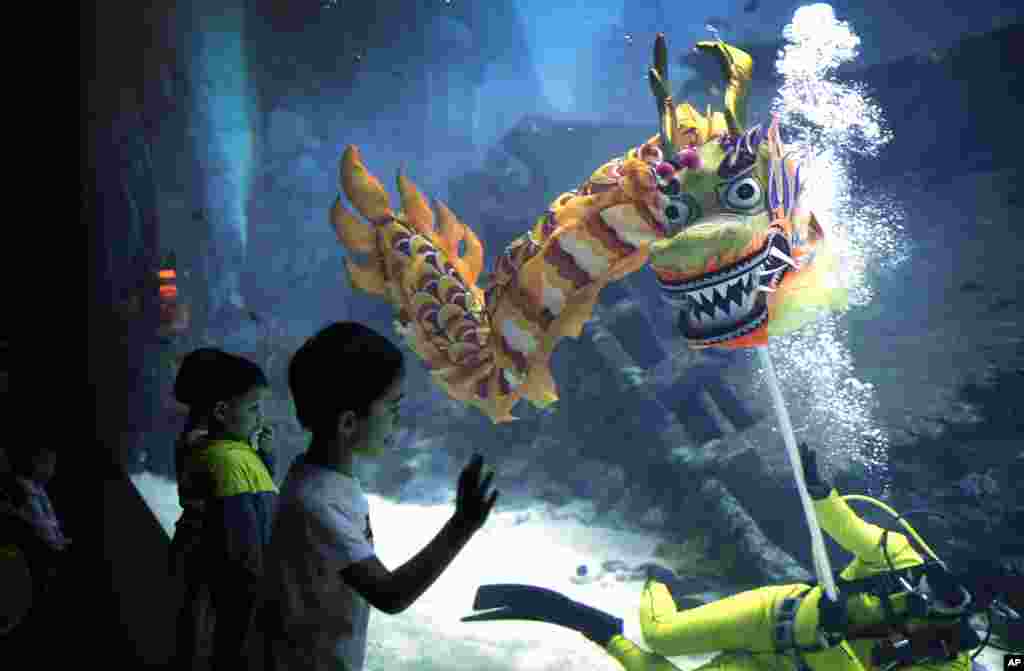 Trẻ em xem múa rồng dưới nước mừng Tết Nguyên đán tại Resorts World Sentosa, một địa điểm du lịch ở Singapore. Rồng được cho là mang lại phước lành trong năm mới. 