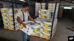 资料照片：2019年5月31日，一名工人在墨西哥恰帕斯州伊达尔戈城堆放一箱箱出口香蕉。（美联社照片）
