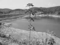当年莉莉上山下乡所在云南西双版纳景洪农场水利兵团修筑水坝的地方（莉莉提供图片）