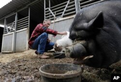 Jimmy Camp feeds his goat and pig outside his home in an unincorporated area in Orange County, California, Jan. 10, 2017.