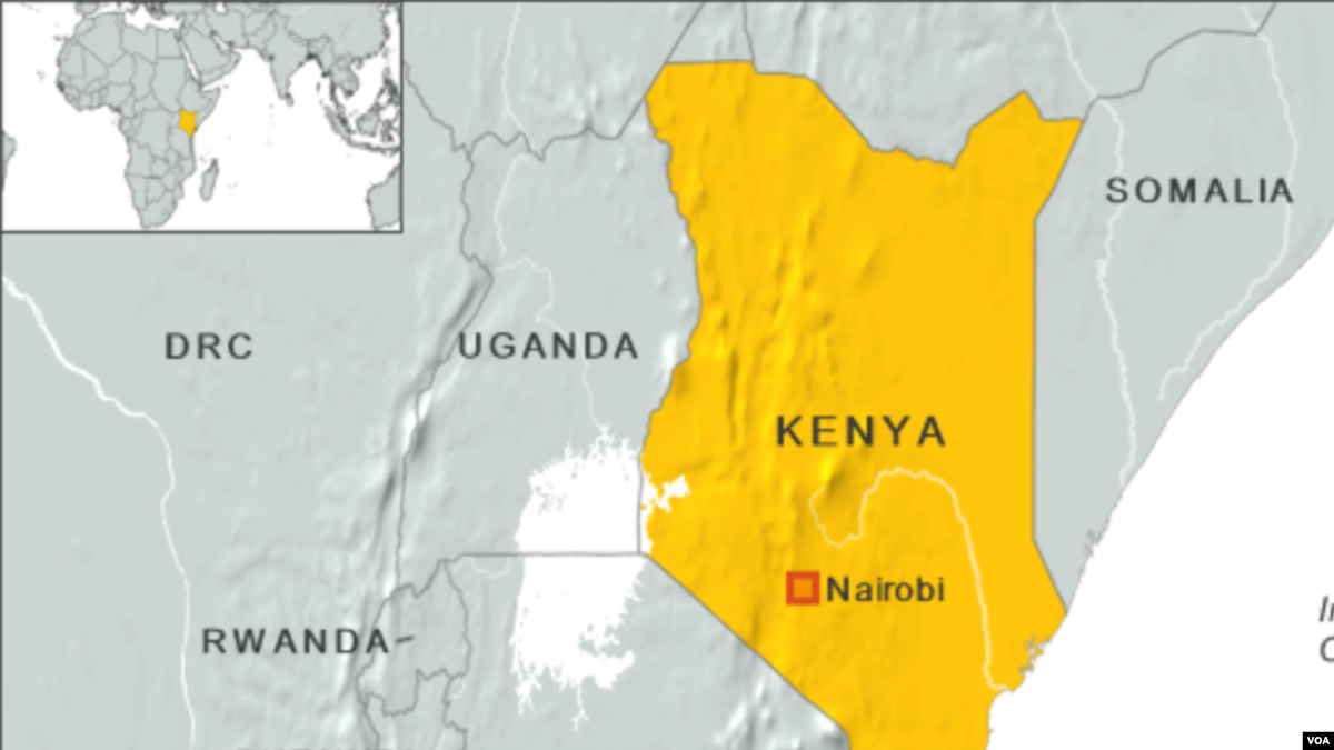 Stevia a Sweetener for Kenyan Exporters and Farmers’ Pockets