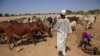 Soudan: sept morts dans des heurts tribaux au Darfour
