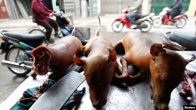 Thịt chó được bày bán ở Việt Nam.