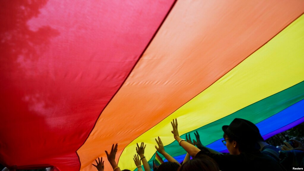 香港同性恋团体举着LGBT旗帜参加游行。（2014年11月8日）(photo:VOA)