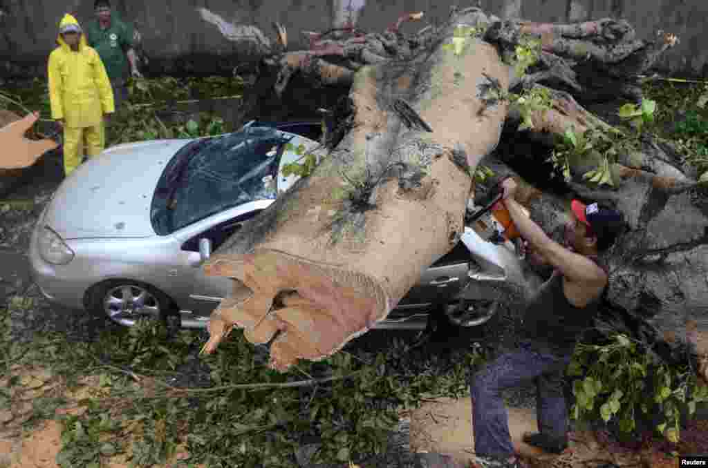 امدادی کارکن گاڑی پر گرے ہوئے درخت کو کاٹ رہے ہیں۔