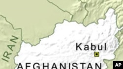 Suicide Attack in Southern Afghanistan Kills 8