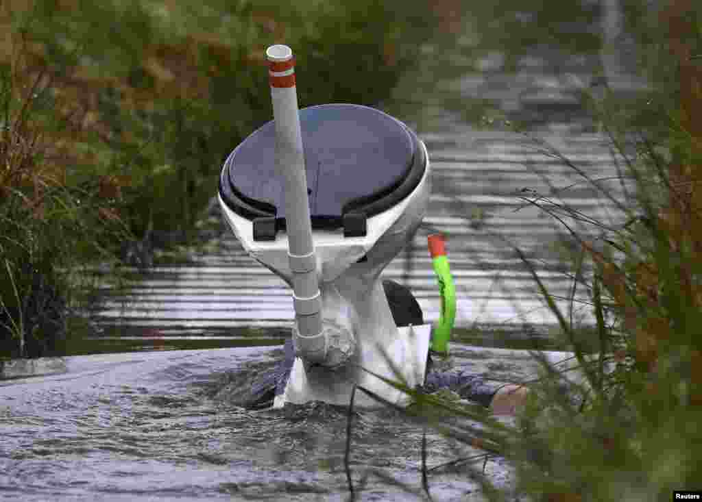 A competitor takes part in the 31st World Bog Snorkelling Championships, held annually at Llanwrtyd Wells in Wales, Britain.