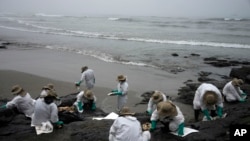 Workers clean oil on Cavero Beach in the Ventanilla district of Callao, Peru, Jan. 22, 2022. The oil spill on the Peruvian coast was caused by the waves from an eruption of an undersea volcano in the South Pacific nation of Tonga.