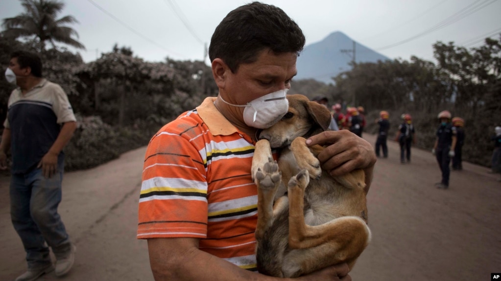 https://gdb.voanews.com/8D9A64D8-7B12-4966-B6F7-C8CB6F30A2DD_cx0_cy3_cw0_w1023_r1_s.jpg
