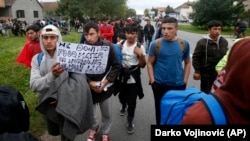 Migranti i izbeglice u Srbiji na putu prema granici sa Mađarskom (Foto: AP/Darko Vojinović) 