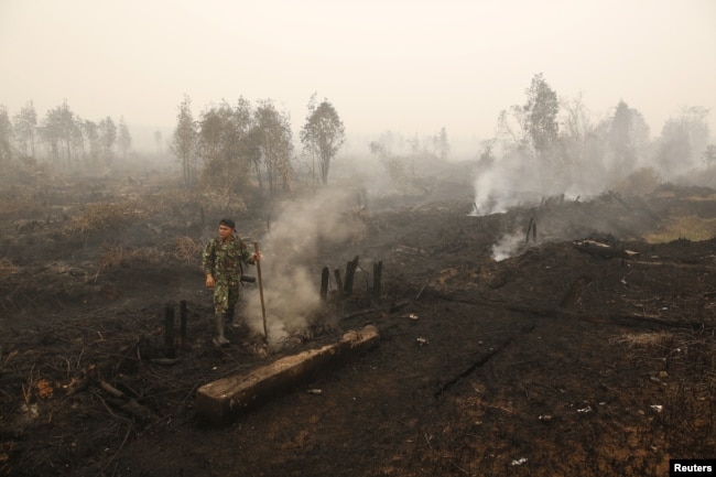 Seorang tentara memeriksa kebakaran lahan gambut dekat Palangkaraya, Kalimantan Tengah, 28 Oktober 2015. (Foto: Antara via Reuters)
