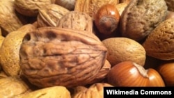 A new study suggests that a handful of nuts a day can stave off various diseases.