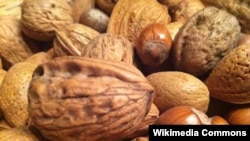 A new study suggests that a handful of nuts a day can stave off various diseases.