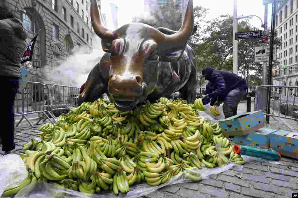 Bananas are placed at the base of Arturo Di Modica&#39;s &quot;Charging Bull&quot; in New York&#39;s Financial District to protest against wealth disparity by Sapien.Network.