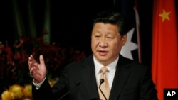 FILE - China's President Xi Jinping addresses the Australia-China state and provincial leaders forum in Sydney, Nov. 19, 2014.