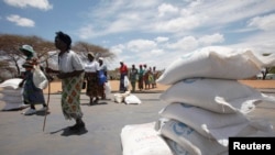 FILE - Zimbabwean women collect food aid from a distribution point in Mutawatawa, about 220km northeast of the capital, Harare on November 25, 2013. 
