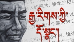 Chinese Scholars and the Self-Immolations in Tibet 