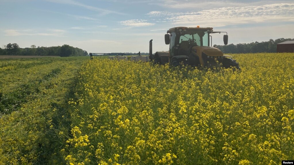 Farmer Dave Gruenbaum plants corn as he terminates off-season cover crops with a roller near Plain City, Ohio, U.S., May 2021. (Dave Gruenbaum/Handout via REUTERS)