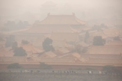 北京故宮在一個霧霾天裡。 （2020年1月18日）
